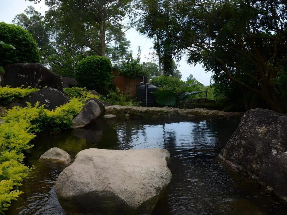 Bethel Varkis Bed and Breakfast Hotel in Kerala