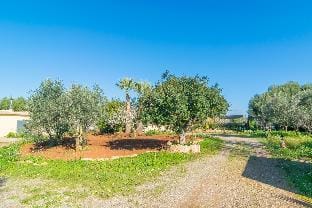 Sa Tanqueta De Ses Roques Villa in Migjorn