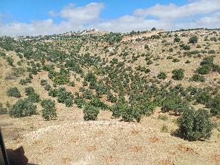 بيت ريفي مع مزرعه كبيره للايجار اليومي  Vacation rental in Africa