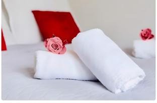 Luxury Citizen Arts Apartment Non smoking Radom Apartment in Masovian Voivodeship