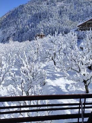 Sharons’s Homestay Vacation rental in Manali