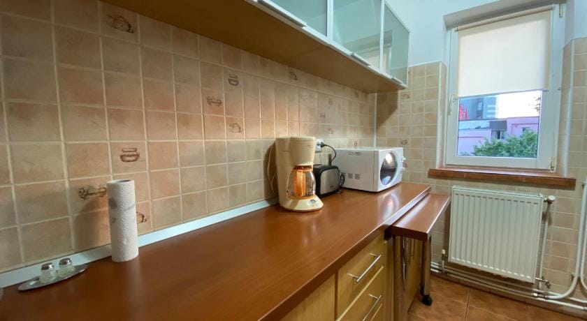 Best Apartment City Hall Apartment in Romania