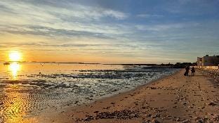 La Villa des Pins Vacation rental in Andernos-les-Bains
