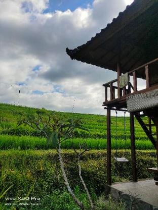 Pondok Pengaringan Loon Vacation rental in Buleleng