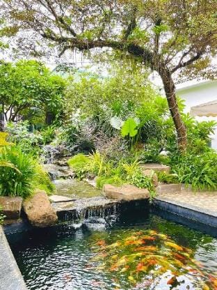 Cherry homestay.bmt Vacation rental in Vietnam