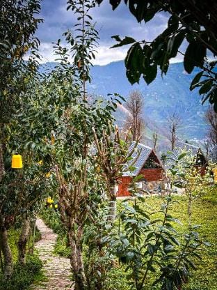Doğallife suit bungalov kırmızı oda Vacation rental in Georgia