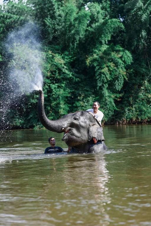 Wangpocamping วังโพแค้มป์ปิ้ง Resort in Thailand