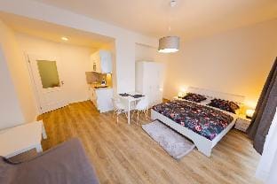 Petrska for 4 people Apartment in Prague