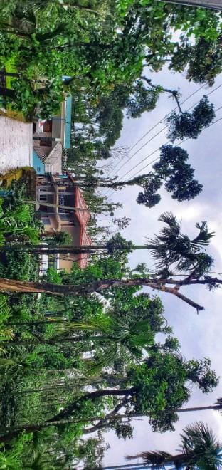 Estatic Forest Stay Vacation rental in Karnataka