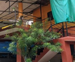 Mangeshai Niwas Cottage Alibaug Vacation rental in Maharashtra