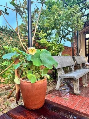 Homestay Chuyện Của Nắng - Nang's Story Vacation rental in Vietnam