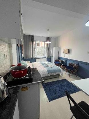 Blue room 5 Apartment in Istanbul