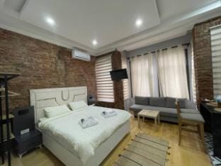 Spacious Luxurious Apartment Vacation rental in Istanbul