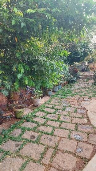 *Subbus Penthouse *with lovely green views  Apartment in Tamil Nadu