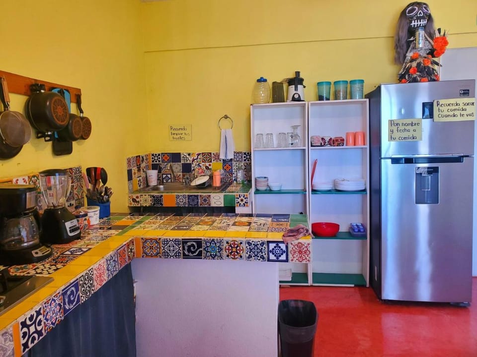 Anamaya Hostal Bed and Breakfast in Hidalgo, Mexico