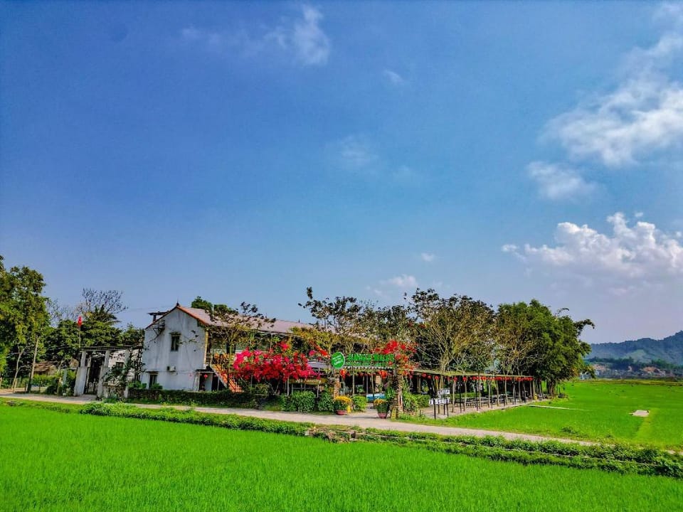 Jungle Boss Travelodge Vacation rental in Laos
