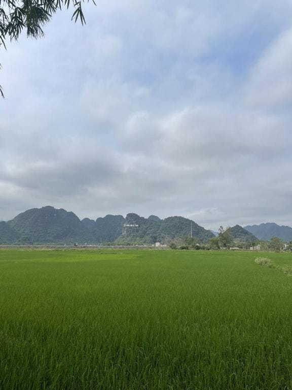 Jungle Boss Travelodge Vacation rental in Laos
