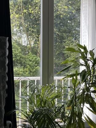 La renaissance du printemps  Apartment in Grand Est