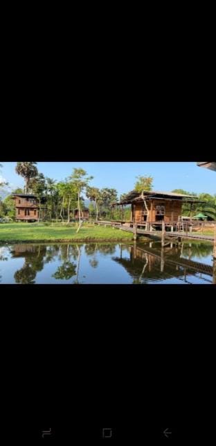 ขนอมลั่นทุ่งรีสร์อท&คาเฟ่ Vacation rental in Thailand