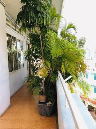 Khám Phá Xanh - Phố Biển Chợ Đầm Apartment in Nha Trang