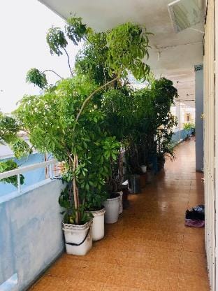 Khám Phá Xanh - Phố Biển Chợ Đầm Apartment in Nha Trang