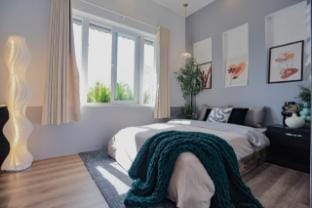 De Montclair Villa in Dalat