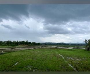 Wood Bulgalow with paddy field view Vacation rental in Vietnam