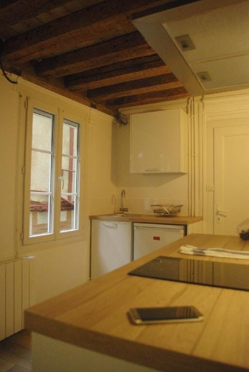 Dijon Standing Historic City Apartment Apartment in Dijon
