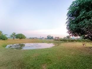 Baanraka garden Vacation rental in Thailand