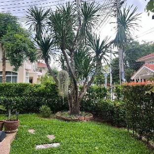 Located in heart of the city Vacation rental in Chiang Mai