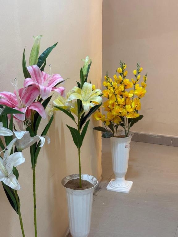 Hotel Shri Niwas Hotel in India