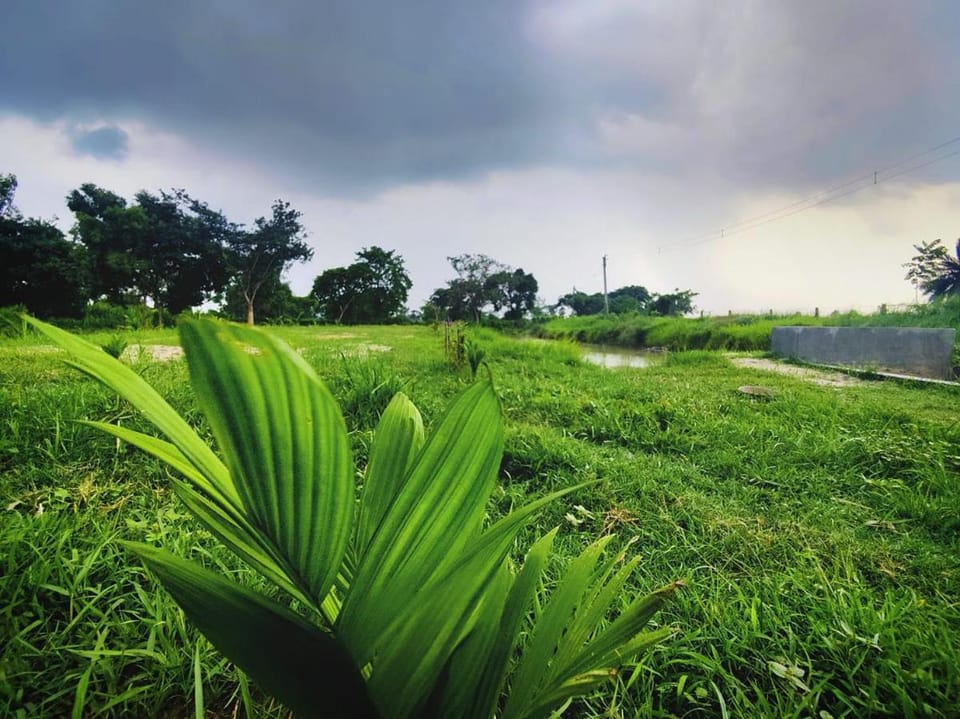 Kaia - Farm Stay & Garden Cafe - Free Fishing Farm Stay in West Bengal