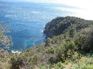 Cosy holiday home near town centre Vacation rental in Cavalaire-sur-Mer