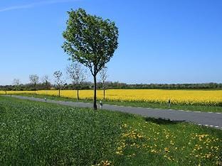 Lake View Modern Retreat Vacation rental in Mecklenburg-Vorpommern, Germany