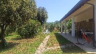 Un oasi di tranquillità,  nel parco della maremma  Vacation rental in Tuscany