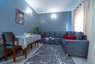 Fully Furnished Private Modern Apartment Vacation rental in Kampala