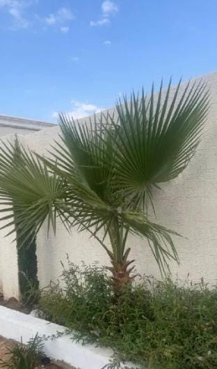 إستراحة البيلسان Vacation rental in Makkah Province