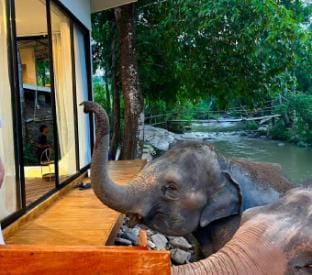 Elephant Regency Vacation rental in Thailand