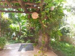 Madakani prime Vacation rental in Lamu County, Kenya