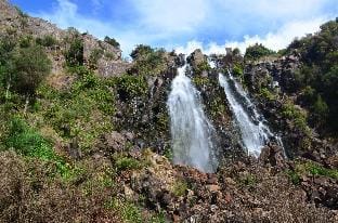 Burnie Waratah Waterfall Retreat Apartment in Tasmania