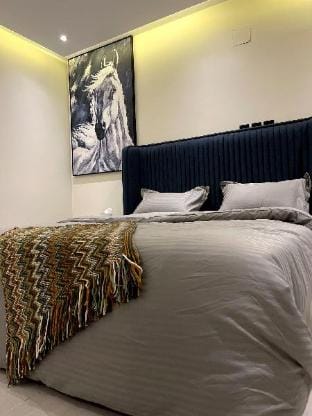 A modern one bedroom apartment / private rooftop Apartment in Riyadh