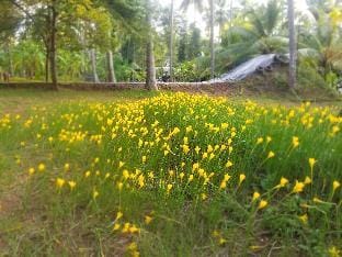 Mullai Farms - A Paradise Farm Stay near Pollachi Vacation rental in Kerala