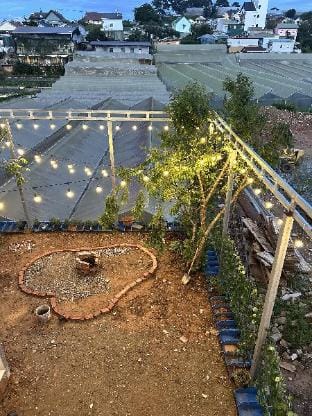 Cỏ Bốn Lá Homestay Vacation rental in Dalat