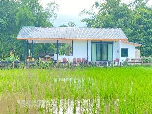 ในสวนมีชาในนามีข้าว Villa in Thailand