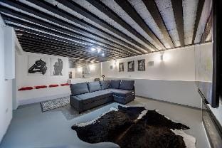 Converted Cinema Room to Studio Apartment in Harrow