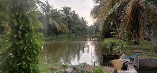 ABT RESORT Homestay Firefly Kuala Selangor Villa in Selangor, Malaysia