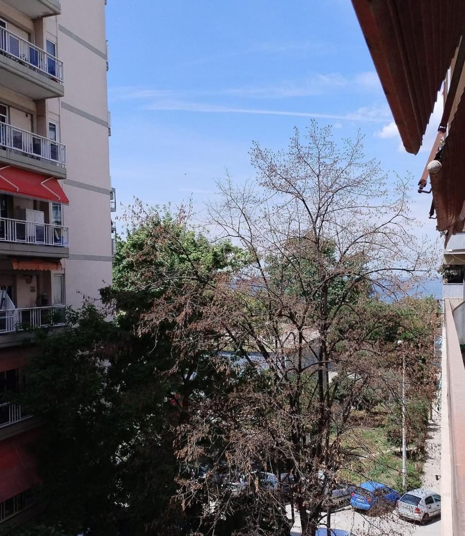 Seafront Apartment With Sea View YR11 Apartment in Thessaloniki