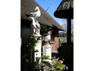 Strandnelke Modern retreat Vacation rental in Schleswig-Holstein