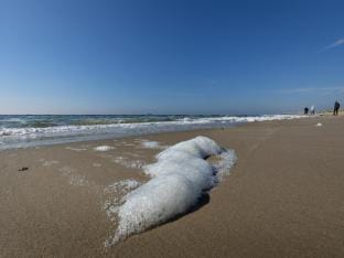 Bungalow in North Holland by the Coast Vacation rental in North Holland (province)