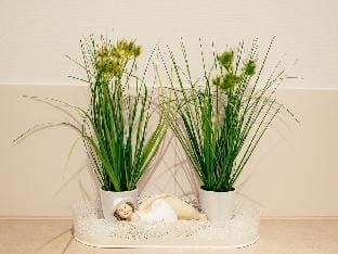 Moin Dag Modern retreat Vacation rental in Borkum